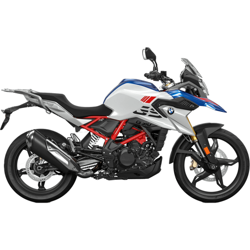 G310GS