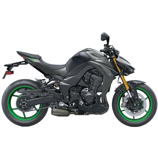 Z1100